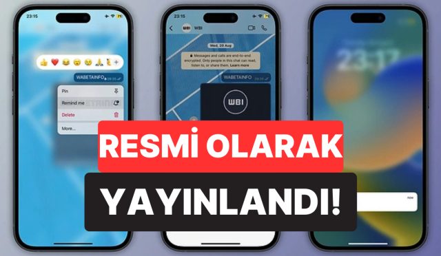 gormedim-duymadim-yok-whatsappa-hatirlatici-ozelligi-geldi-u1kIsEKi.jpg