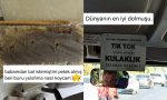 gunluk-hayatta-karsilastiklari-gorunumlerden-mizah-cikaran-twitter-kullanicilari-RBKteBRA.jpg