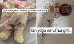 her-ne-yapiyorsaniz-birakip-okumaniz-gereken-haftanin-en-komik-tweetleri-KffldRCv.jpg