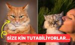 hicbir-kedi-benden-kacmasin-diyorsaniz-kedilere-kendinizi-sevdirme-yollari-xdmysbHj.jpg