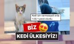 istanbulda-2-gencin-bir-kediyle-oynadigi-imgeler-yuz-gulumsetti-4WDvZgiN.jpg