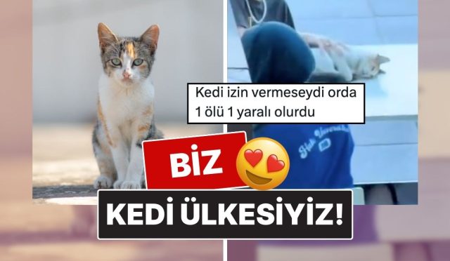 istanbulda-2-gencin-bir-kediyle-oynadigi-imgeler-yuz-gulumsetti-4WDvZgiN.jpg