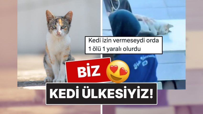 İstanbul’da 2 Gencin Bir Kediyle Oynadığı İmgeler Yüz Gülümsetti!