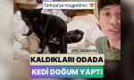 kapadokyada-tatil-yapan-cinli-ikili-beklenmedik-surpriz-bir-kedi-kaldiklari-odada-dogum-yapti-CvqrSa2n.jpg