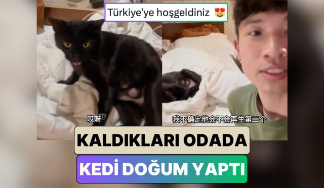 kapadokyada-tatil-yapan-cinli-ikili-beklenmedik-surpriz-bir-kedi-kaldiklari-odada-dogum-yapti-CvqrSa2n.jpg