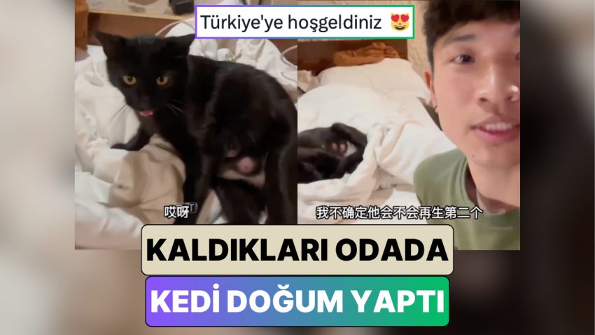 Kapadokya’da Tatil Yapan Çinli İkili Beklenmedik Sürpriz: Bir Kedi Kaldıkları Odada Doğum Yaptı