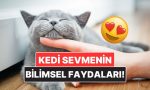 kedileri-sevmenin-bilimsel-olarak-kanitlanmis-yararlari-PWsIgwx3.jpg