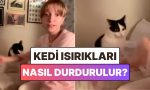 kedilerin-isirik-hucumlarindan-kurtulmak-icin-bulunan-bi-garip-usul-Xjuy2rKI.jpg