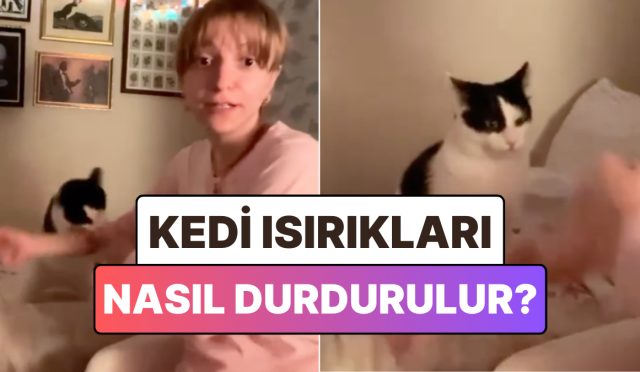 kedilerin-isirik-hucumlarindan-kurtulmak-icin-bulunan-bi-garip-usul-Xjuy2rKI.jpg