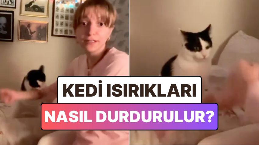 Kedilerin Isırık Hücumlarından Kurtulmak İçin Bulunan Bi’ Garip Usul