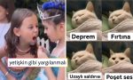 kedilerin-rafine-zevklerinden-eczacilarin-yarattigi-gereksiz-tansiyona-son-24-saatin-viral-tweetleri-rZcPNQHU.jpg