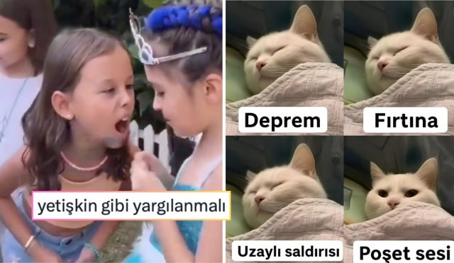 kedilerin-rafine-zevklerinden-eczacilarin-yarattigi-gereksiz-tansiyona-son-24-saatin-viral-tweetleri-rZcPNQHU.jpg