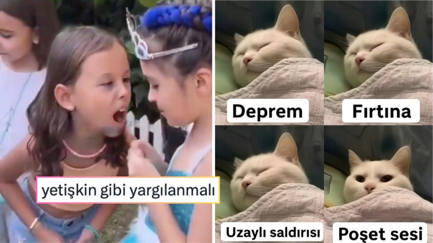 Kedilerin Rafine Zevklerinden Eczacıların Yarattığı Gereksiz Tansiyona Son 24 Saatin Viral Tweetleri