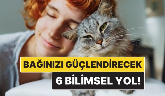 kedinizle-baginizi-guclendirmenin-6-bilimsel-yolu-IB7sgZw9.jpg