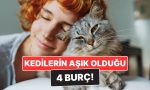 kediseverligiyle-meshur-4-burc-bu-burclar-kedilerle-zimn-bag-kuruyor-VOGdtYF3.jpg