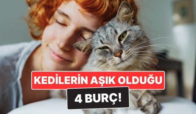 kediseverligiyle-meshur-4-burc-bu-burclar-kedilerle-zimn-bag-kuruyor-VOGdtYF3.jpg
