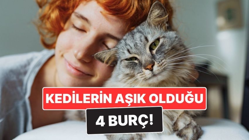 Kediseverliğiyle Meşhur 4 Burç! Bu Burçlar Kedilerle Zımnî Bağ Kuruyor
