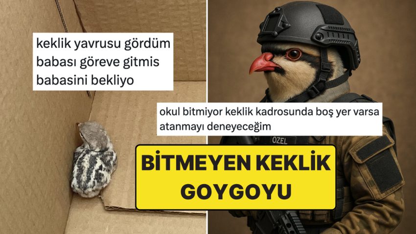 Keklik Özel Harekatın İşe Başlamasıyla Azalan Kene Popülasyonu Tekrar Toplumsal Medya Gündeminde
