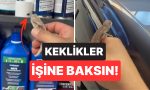 keklikler-isine-baksin-boceklerle-basa-cikmak-icin-bukalemun-kullanan-vatandas-guldurdu-P8E7Uv4w.jpg