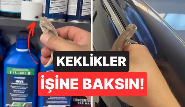 keklikler-isine-baksin-boceklerle-basa-cikmak-icin-bukalemun-kullanan-vatandas-guldurdu-P8E7Uv4w.jpg