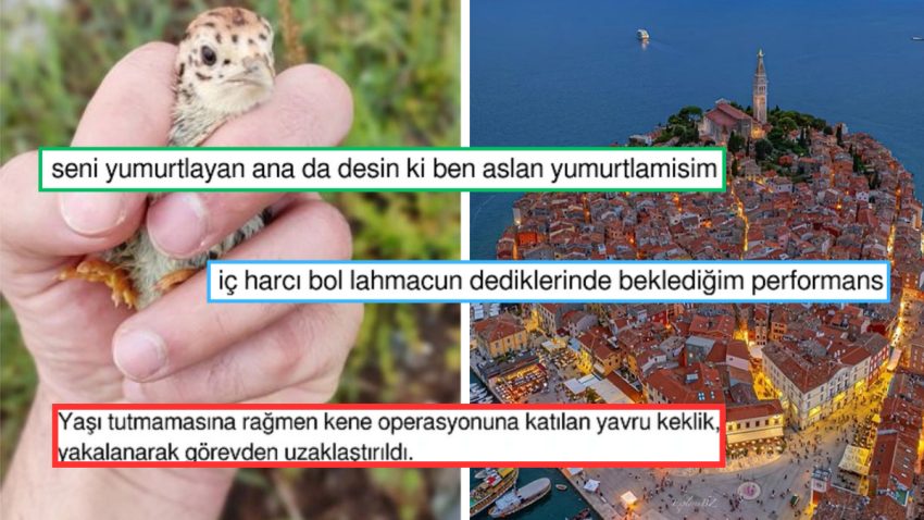 Kene Savaşına Katılan Yavru Keklikten Lahmacuna Benzeyen Hırvatistan’a Son 24 Saatin Viral Tweetleri