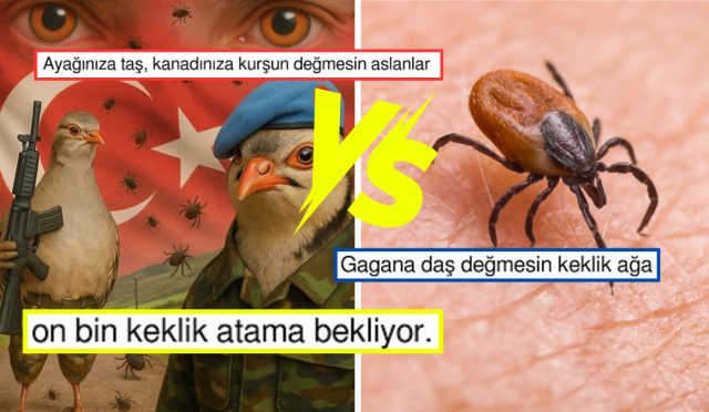 kenelerle-ugras-icin-var-gucleriyle-calisan-keklikler-toplumsal-medyada-bir-defa-daha-dayanak-topladi-sRsZ5yin.jpg