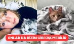 kis-kapidayken-kedinizi-sicacik-tutmak-icin-dikkat-etmeniz-gerekenler-ef997s46.jpg