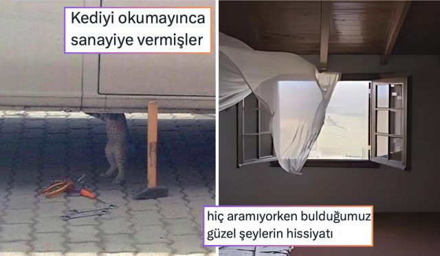 kis-yaklasmasini-kutlayanlardan-okumayinca-endustriye-verilen-kediye-24-saatin-viral-tweetleri-Z3c9uJWa.jpg