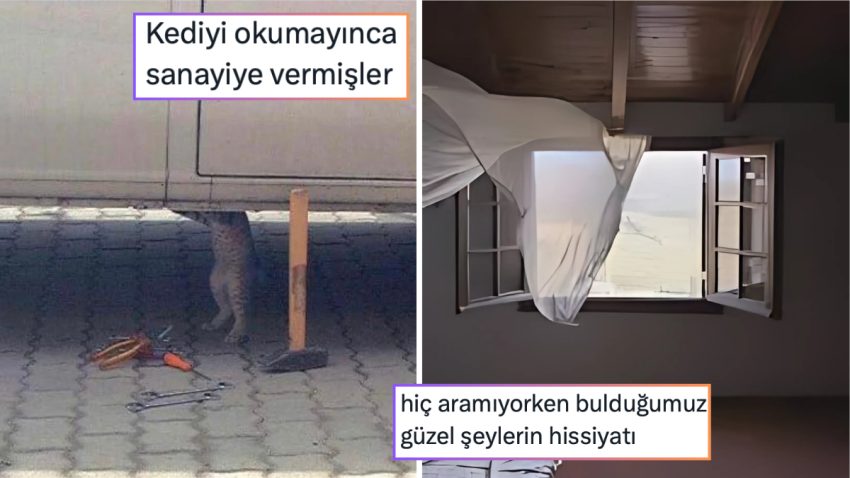 Kış Yaklaşmasını Kutlayanlardan Okumayınca Endüstriye Verilen Kediye 24 Saatin Viral Tweetleri