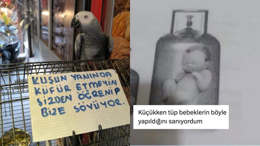 Küfürbaz Papağandan Çocuklukta Başta Canlananlara Son 24 Saatin Viral Tweetleri