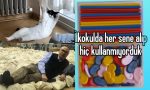 mahmut-tanal-kediden-anlamsiz-okul-esyalarina-son-24-saatin-viral-tweetleri-YCVH7Y4a.jpg