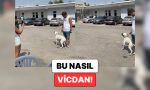 mersinde-bir-kopegin-kendisini-barinaga-birakan-sahibinin-gerisinden-agladigi-anlar-kalbinizi-acitacak-3Mg7fqDc.jpg