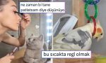misyona-cagirilan-kekliklerden-bir-sonraki-atagini-asik-r-etmeyen-kediye-son-24-saatin-viral-tweetleri-ueKnZ5e4.jpg
