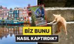 nasil-kaptirdik-amsterdam-sokak-kedileri-icin-ozel-merdivenler-insa-etmeye-basladi-8iHunijZ.jpg
