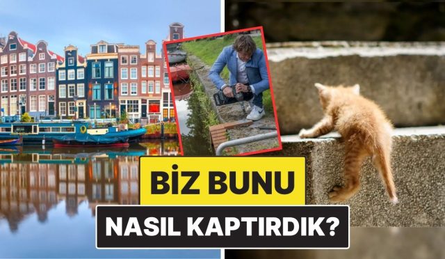 nasil-kaptirdik-amsterdam-sokak-kedileri-icin-ozel-merdivenler-insa-etmeye-basladi-8iHunijZ.jpg
