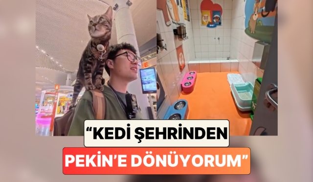omzunda-kedisiyle-pekine-donen-bir-cinli-gordugu-ilgiyi-ve-havaalaninin-imkanlarini-paylasti-nLL4QtOT.jpg