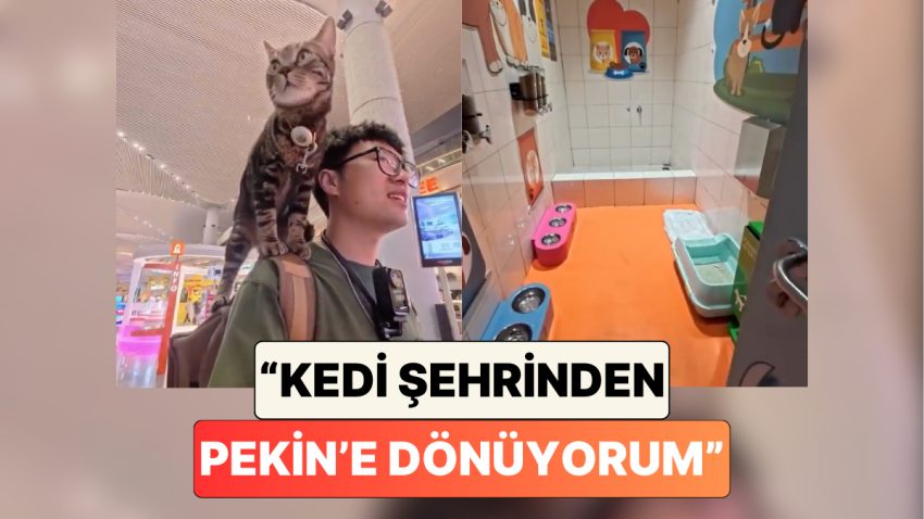 Omzunda Kedisiyle Pekin’e Dönen Bir Çinli Gördüğü İlgiyi ve Havaalanının İmkanlarını Paylaştı