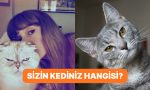 onlar-da-bizim-gibi-arastirmalara-nazaran-kedilerin-5-farkli-kisilik-tipi-3pRcMQmq.jpg