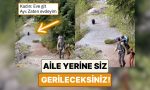 orman-yuruyusleri-sirasinda-bir-ayi-ile-karsilasan-ailenin-rahatligini-izlerken-siz-gerileceksiniz-sjWVbmKx.jpg