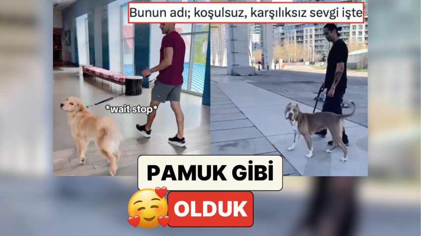 Pamuk Üzere Olduk: Beşerler Patili Dostlarının Yanından Bir Yabancı Üzere Geçerek Reaksiyonlarını Kaydetti