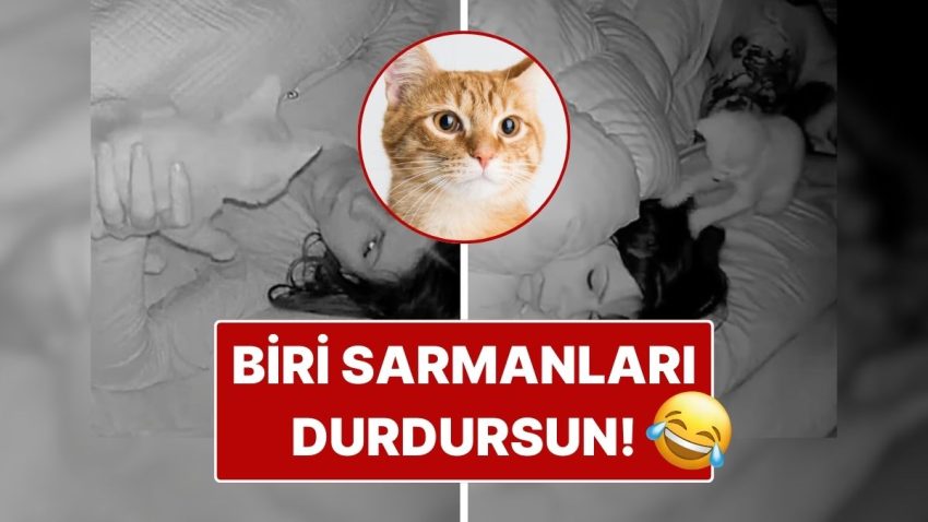 Sarman Kedinin Sahibini Bir Türlü Uyutmadığı Anlar Yüz Güldürdü