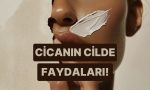 son-vakitlerde-ismini-daha-cok-duydugumuz-cica-nedir-cilde-ne-uzere-yararlar-saglar-LUgFfEeL.jpg
