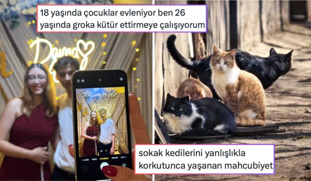 son-yillarin-en-sikici-yazindan-kedilere-karsi-yasanan-mahcubiyete-son-24-saatin-viral-tweetleri-IFIrIl24.jpg