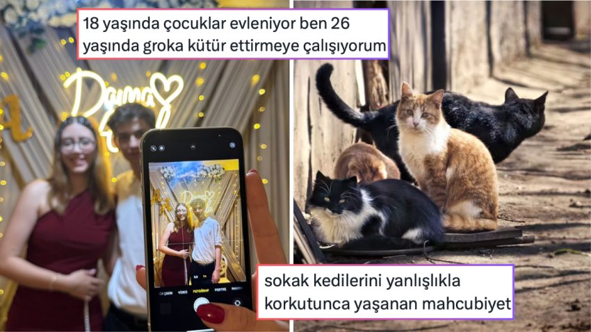 Son Yılların En Sıkıcı Yazından Kedilere Karşı Yaşanan Mahcubiyete Son 24 Saatin Viral Tweetleri