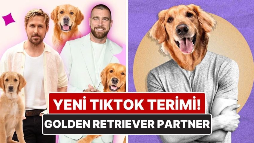 TikTok’ta Trend Olmuştu! “Golden Retriever Partner” Ne Manaya Geliyor?