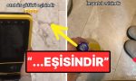 tiktokta-viral-olan-es-karsilama-akimi-gulmekten-kirdi-gecirdi-69ME1qX7.jpg