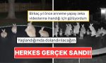 trambolinde-ziplayan-tavsanlarin-goruntusu-butun-internet-alemini-kandirdi-YsXiNBEy.jpg