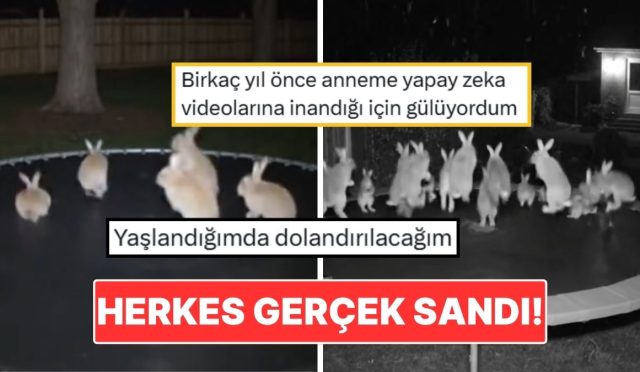 trambolinde-ziplayan-tavsanlarin-goruntusu-butun-internet-alemini-kandirdi-YsXiNBEy.jpg