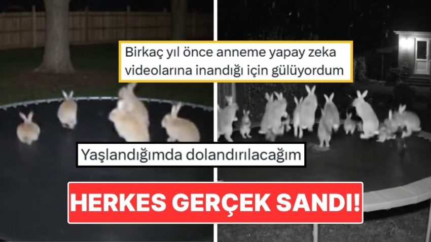 Trambolinde Zıplayan Tavşanların Görüntüsü Bütün İnternet Alemini Kandırdı