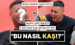 unlu-rapci-lvbel-c5in-basini-alip-giden-tuhaf-kaslari-x-ahalisinin-lisanina-kotu-dustu-lf3bmI8T.jpg